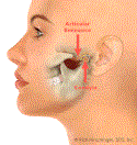 Subluxation